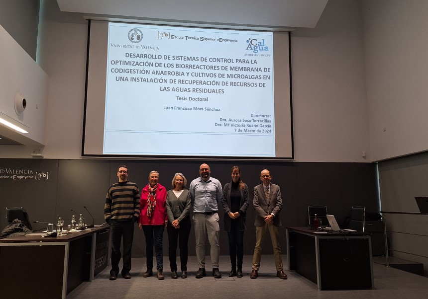 Doctorando, evaluadores y directores de la tesis